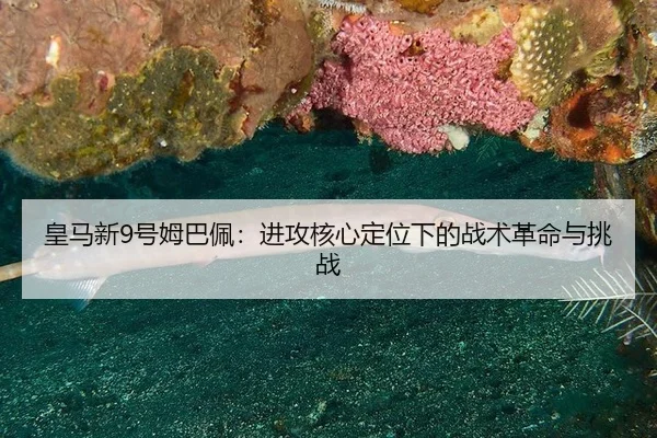 huang-ma-xin-hao-mu-ba-pei-jin-gong-he-xin-ding-wei-xia-de-zhan-shu-ge-ming-yu-tiao-zhan-3-727.jpg