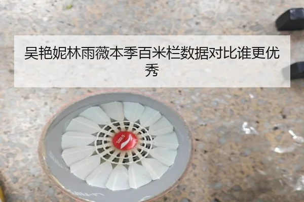 wu-yan-ni-lin-yu-wei-ben-ji-bai-mi-lan-shu-ju-dui-bi-shui-geng-you-xiu-3-908.jpg