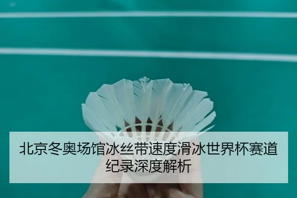 北京冬奥场馆冰丝带速度滑冰世界杯赛道纪录深度解析